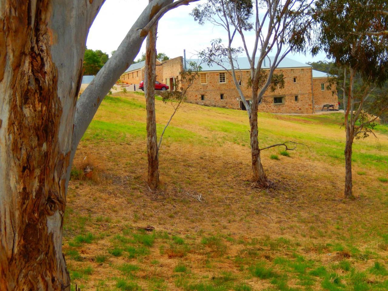 לינה וארוחת בוקר Norton Summit Morialta Barns מראה חיצוני תמונה