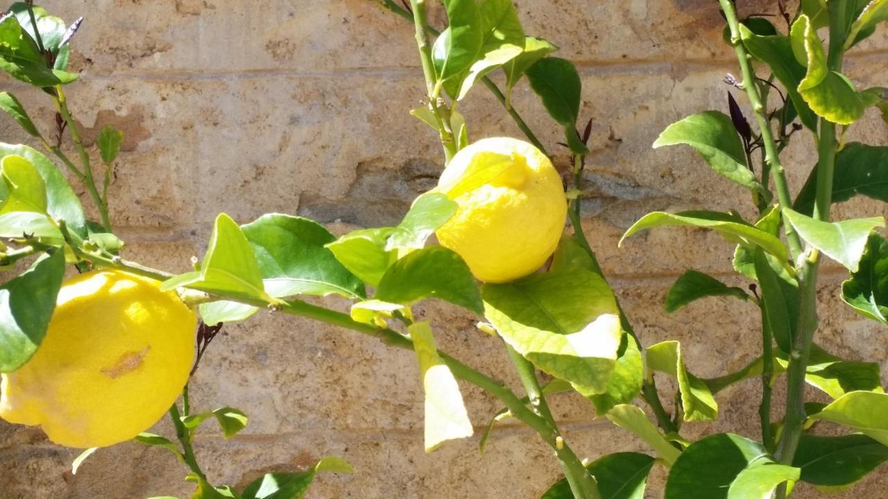 לינה וארוחת בוקר Norton Summit Morialta Barns מראה חיצוני תמונה